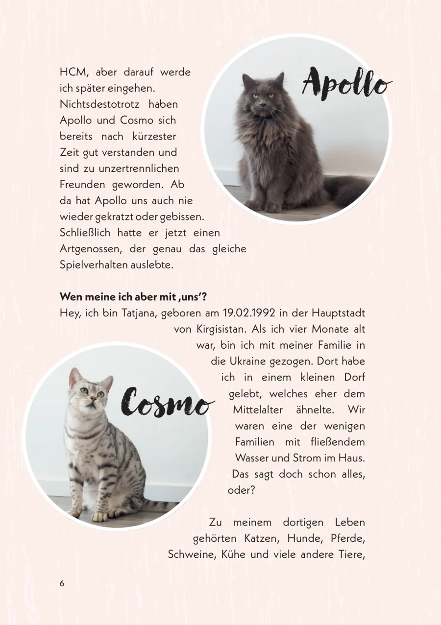 Leseprobe Seite 6